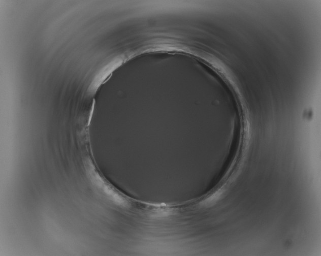 X0000110701385200907021947