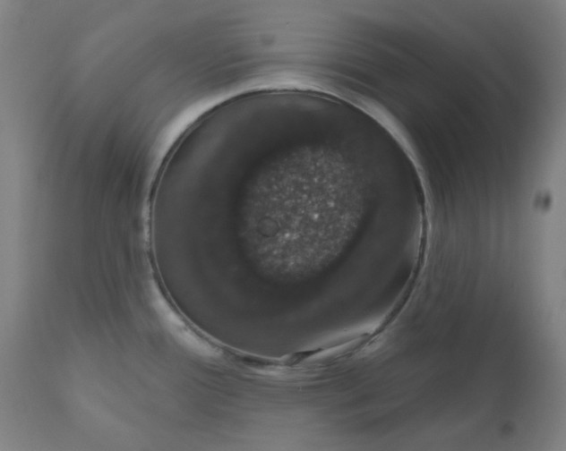 X0000110701388200907021947