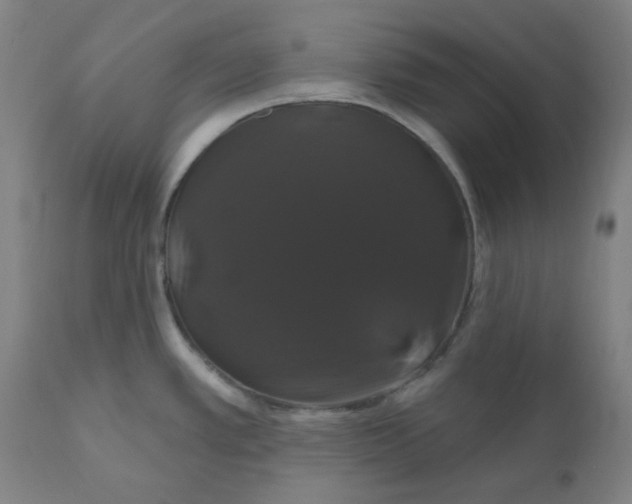 X0000110701389200907021947