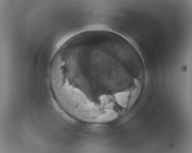 X0000110701390200907021947