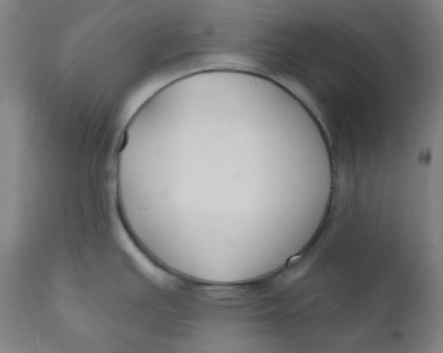 X0000110701391200907021947