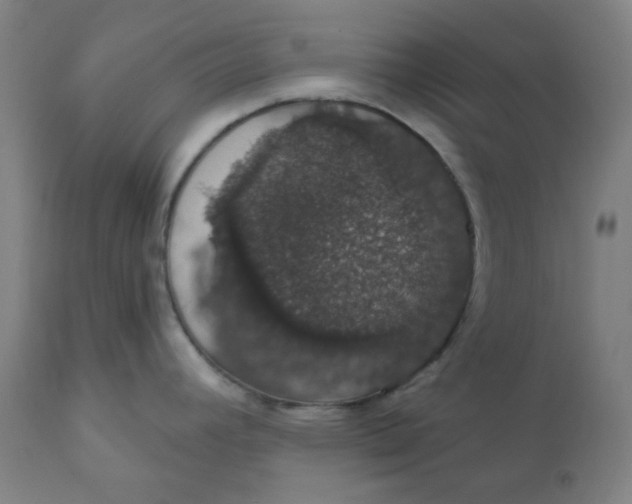 X0000110701392200907021947