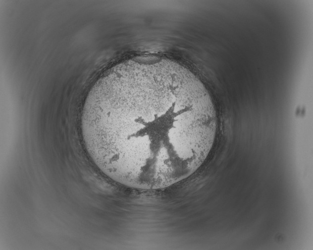 X0000110701393200907021946