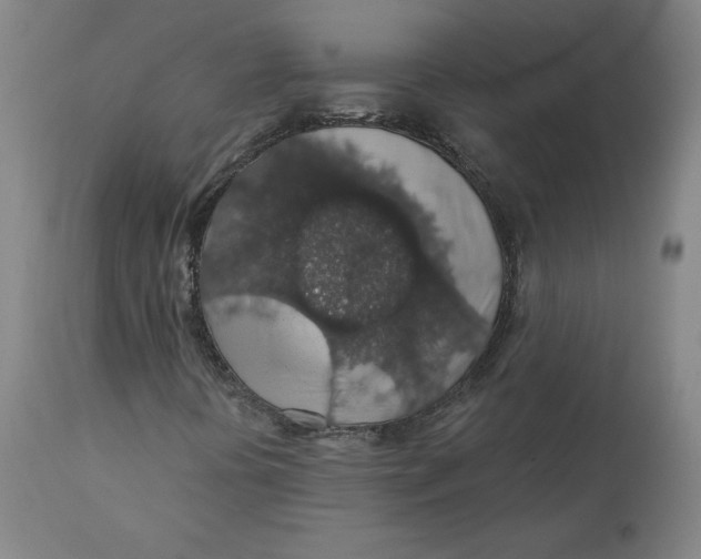 X0000110701394200907021946