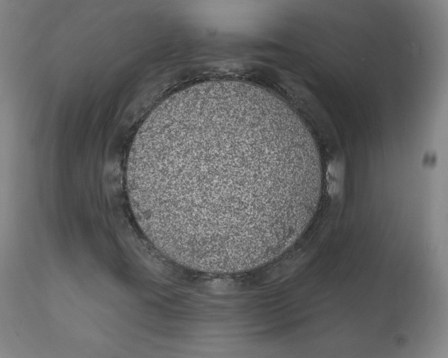 X0000110701395200907021946