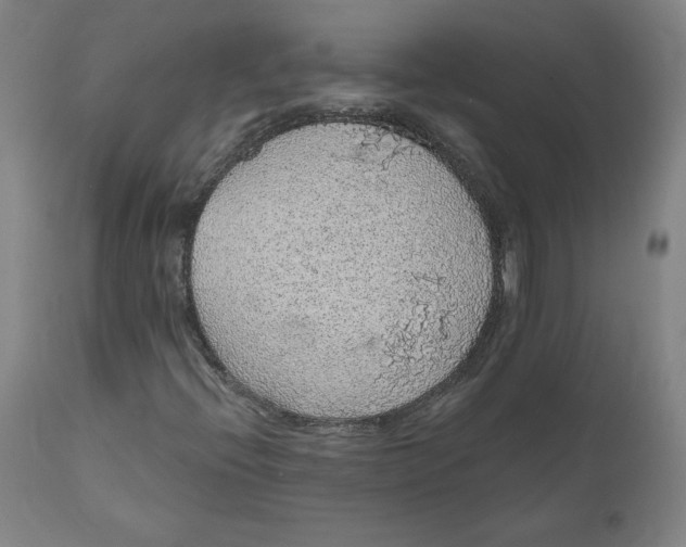 X0000110701396200907021946