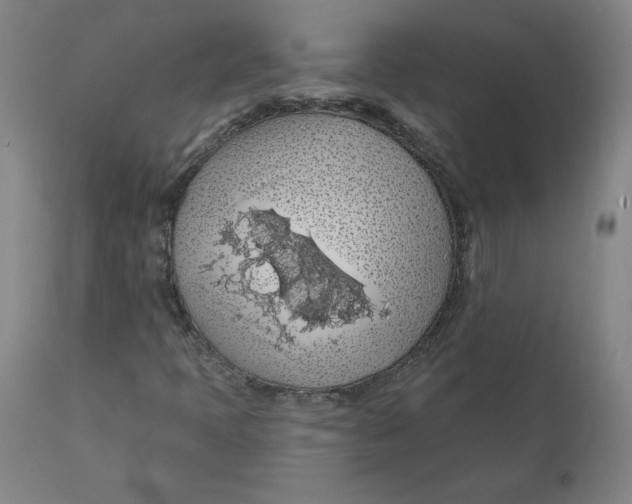 X0000110701397200907021946