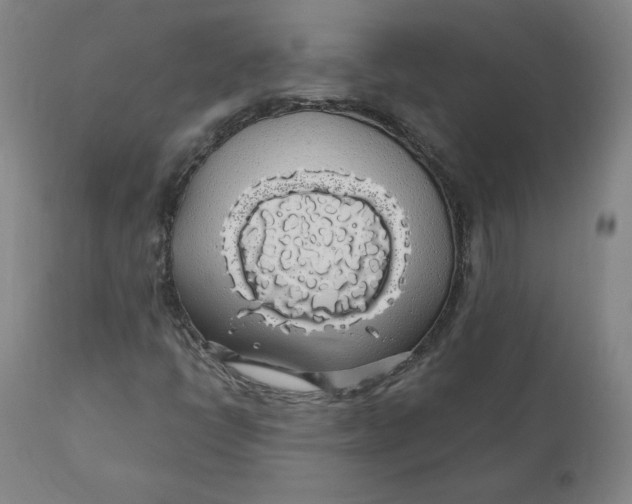 X0000110701398200907021946