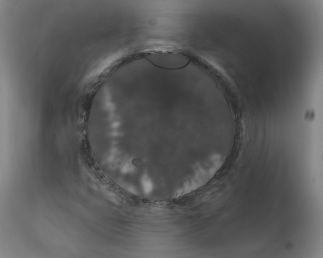 X0000110701399200907021946