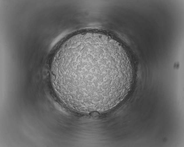 X0000110701400200907021946