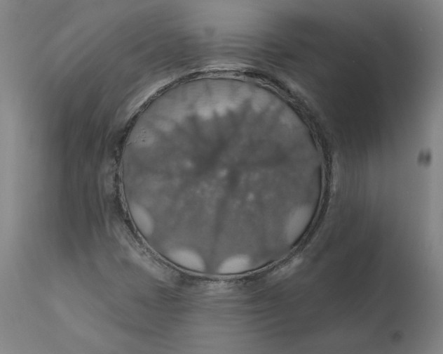 X0000110701401200907021946