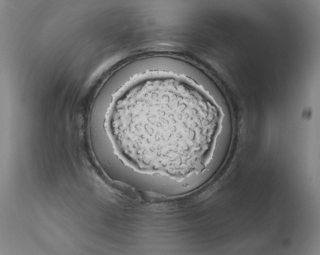 X0000110701402200907021946