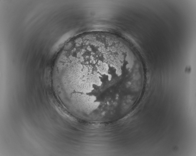 X0000110701403200907021946