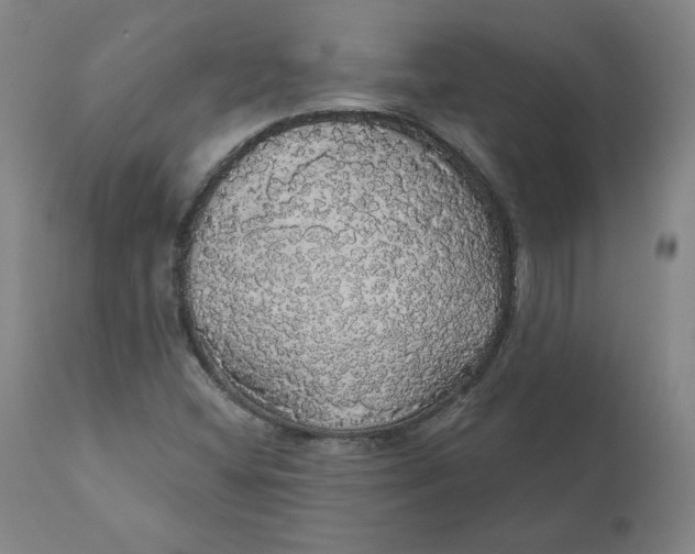 X0000110701404200907021946