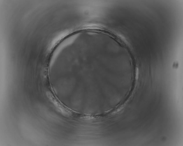 X0000110701405200907021946