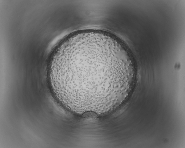 X0000110701406200907021946