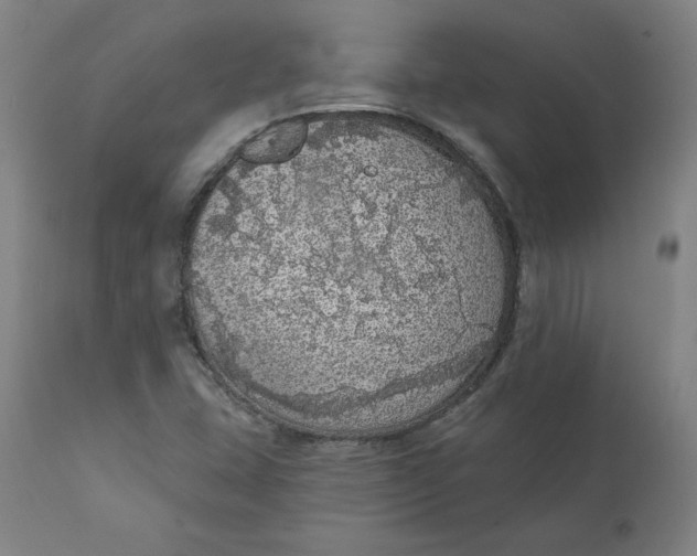 X0000110701407200907021946