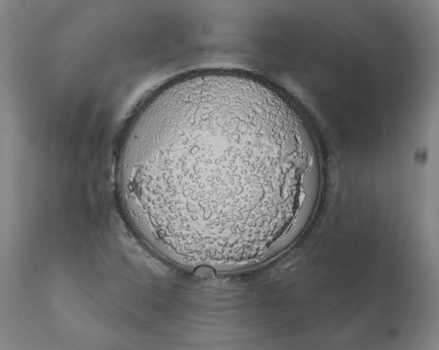 X0000110701408200907021946