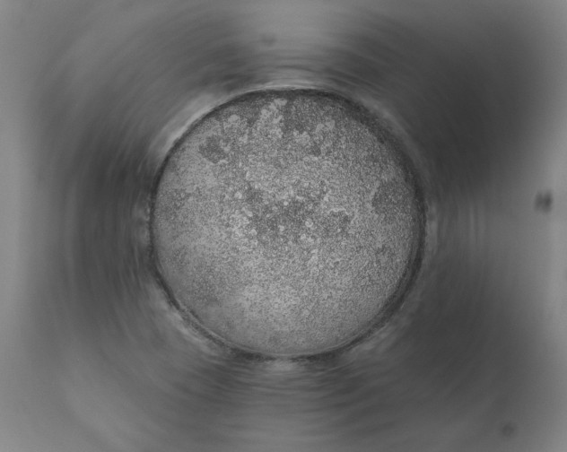 X0000110701409200907021946