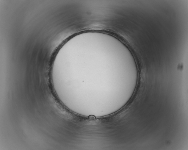 X0000110701410200907021947