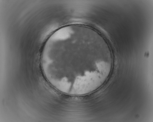 X0000110701411200907021947