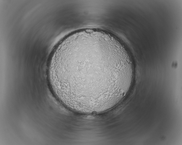 X0000110701412200907021947