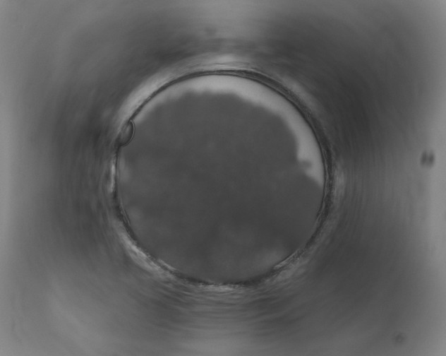 X0000110701413200907021947