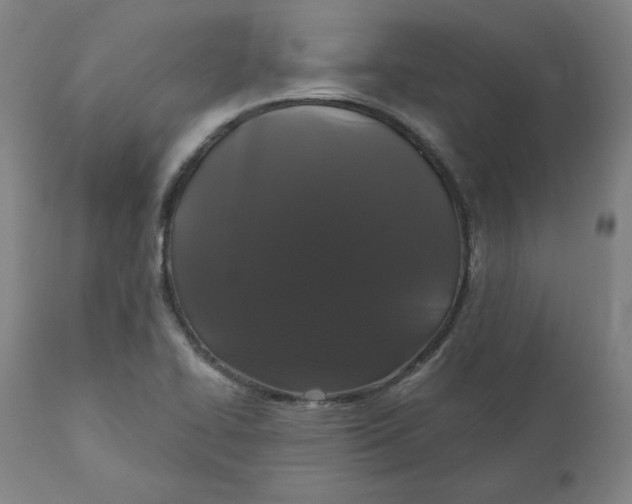 X0000110701414200907021947