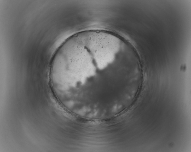 X0000110701415200907021947