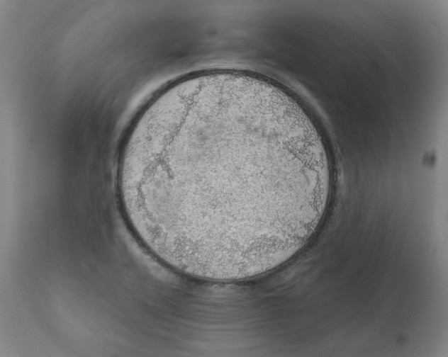 X0000110701416200907021947