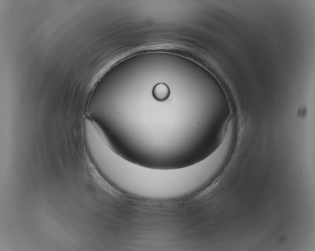 X0000110701417200907021947