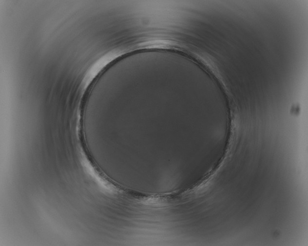 X0000110701418200907021947