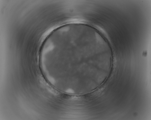 X0000110701419200907021947