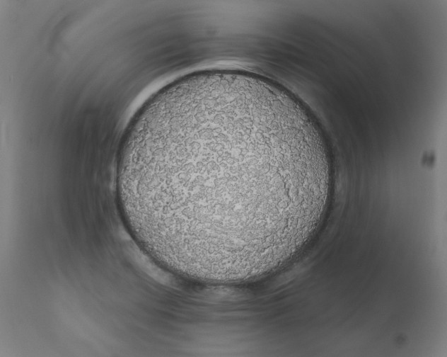 X0000110701420200907021947