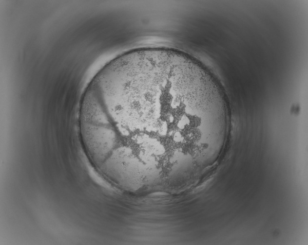 X0000110701421200907021947