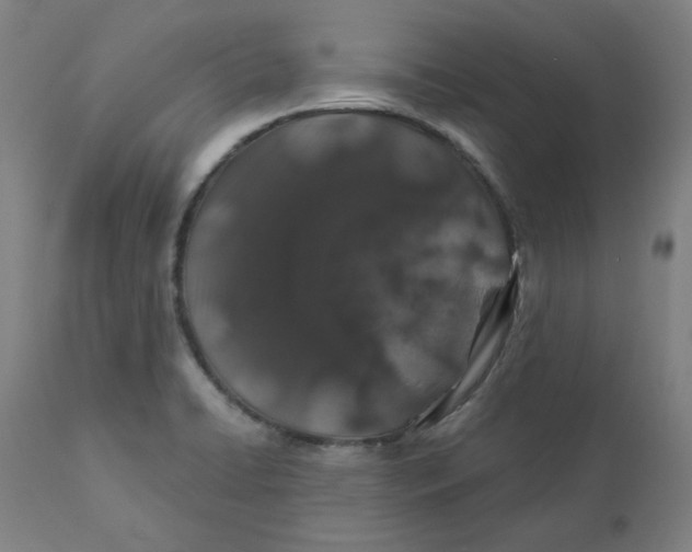 X0000110701422200907021947