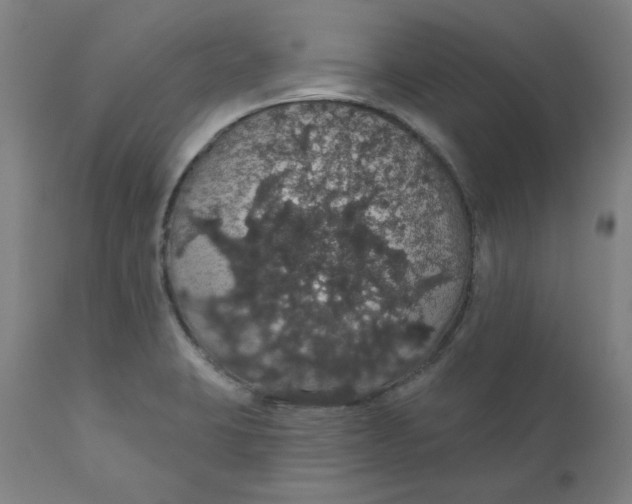 X0000110701423200907021947