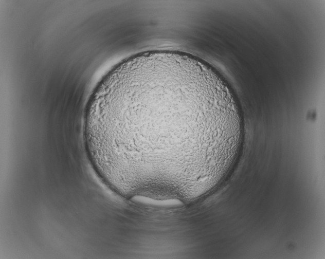 X0000110701424200907021947