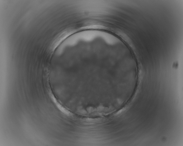 X0000110701425200907021947