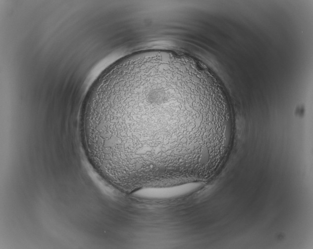 X0000110701426200907021947