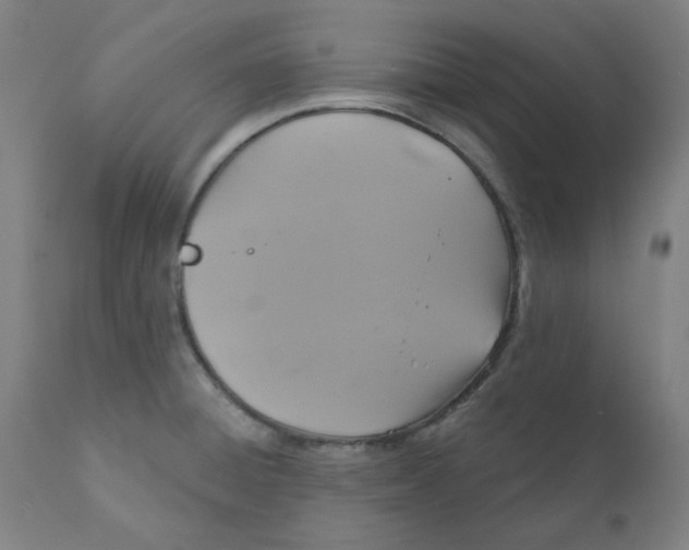 X0000110701428200907021947