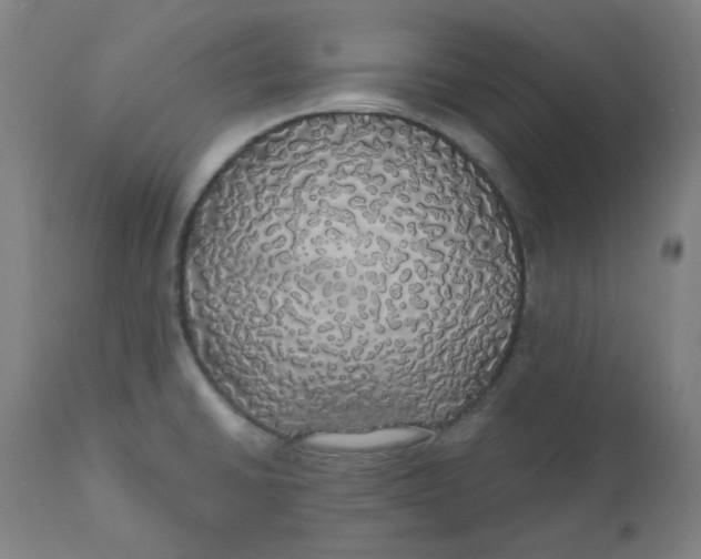 X0000110701430200907021947