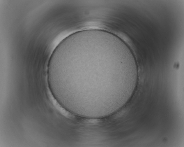 X0000110701431200907021947