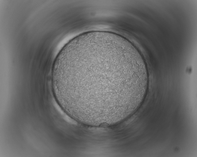 X0000110701432200907021947