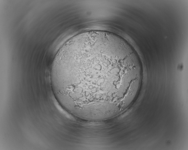 X0000110701433200907021947