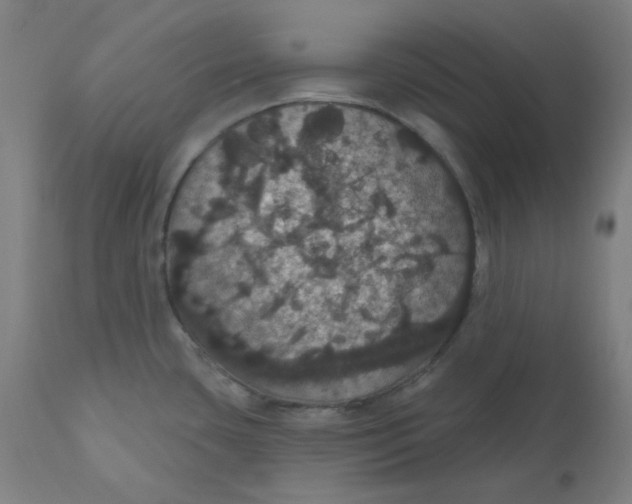 X0000110701435200907021947