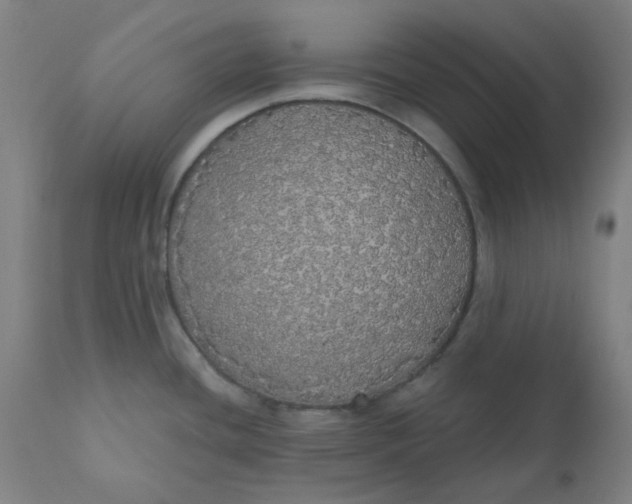 X0000110701436200907021947