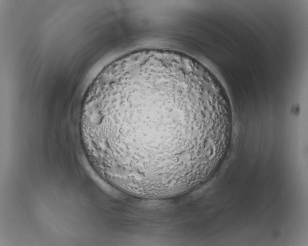 X0000110701437200907021947