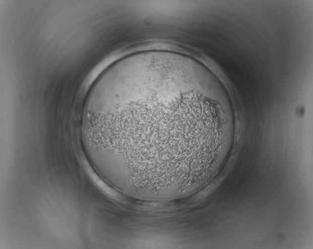 X0000110701438200907021947