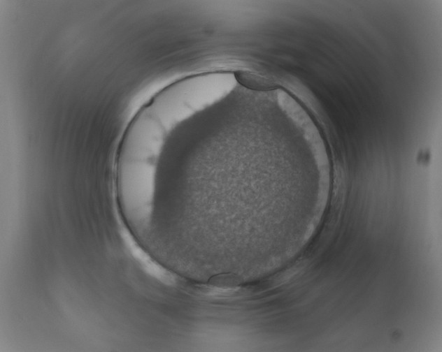 X0000110701439200907021947